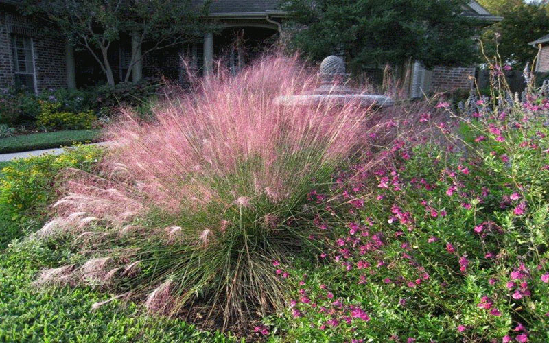 GARDEN CENTER CAPE CORAL and LANDSCAPERS
