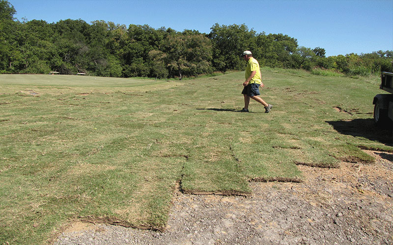 GARDEN CENTER CAPE CORAL & LANDSCAPERS