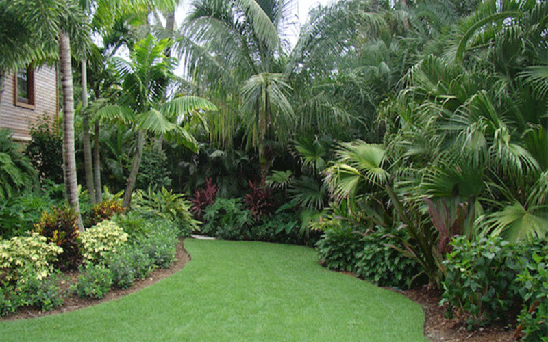 GARDEN CENTER CAPE CORAL and LANDSCAPERS