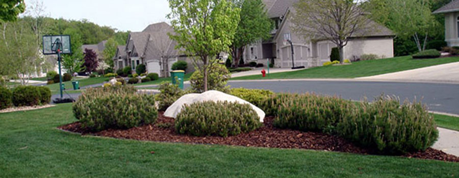 GARDEN CENTER CAPE CORAL and LANDSCAPERS