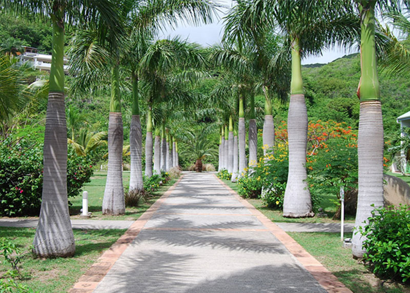 GARDEN CENTER CAPE CORAL and LANDSCAPERS